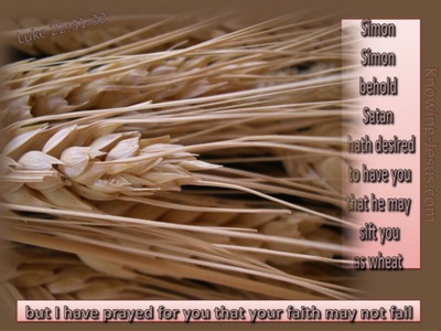 Luke 22:31 I Have Prayed For You (pink)